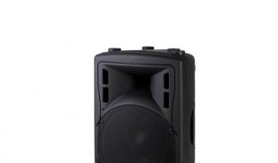 dsp1202a-wall-mount-speaker--1_1496657404_400x400.jpg